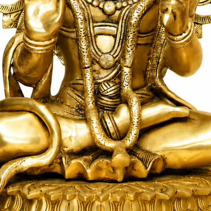 Hanuman idol